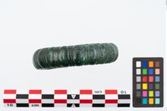 Foto von Bronzearmeif (NHMW-PRAE-026498)